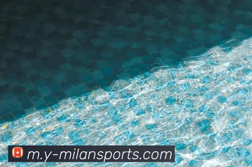 米兰体育平台生态图